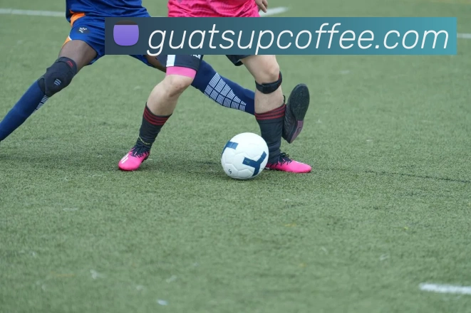 App 展示图